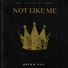 Not Like Me (Prod. by Jus Ah Youngin)