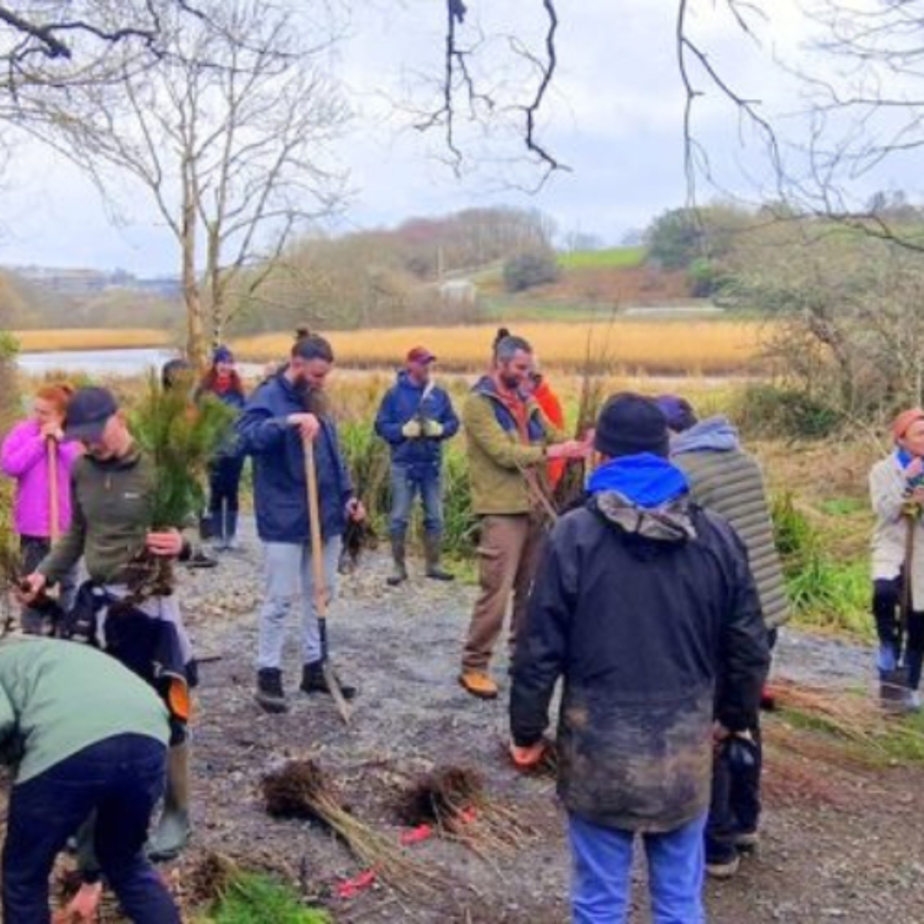 Restore Ballymacraven River Association Community Tree Planting Day