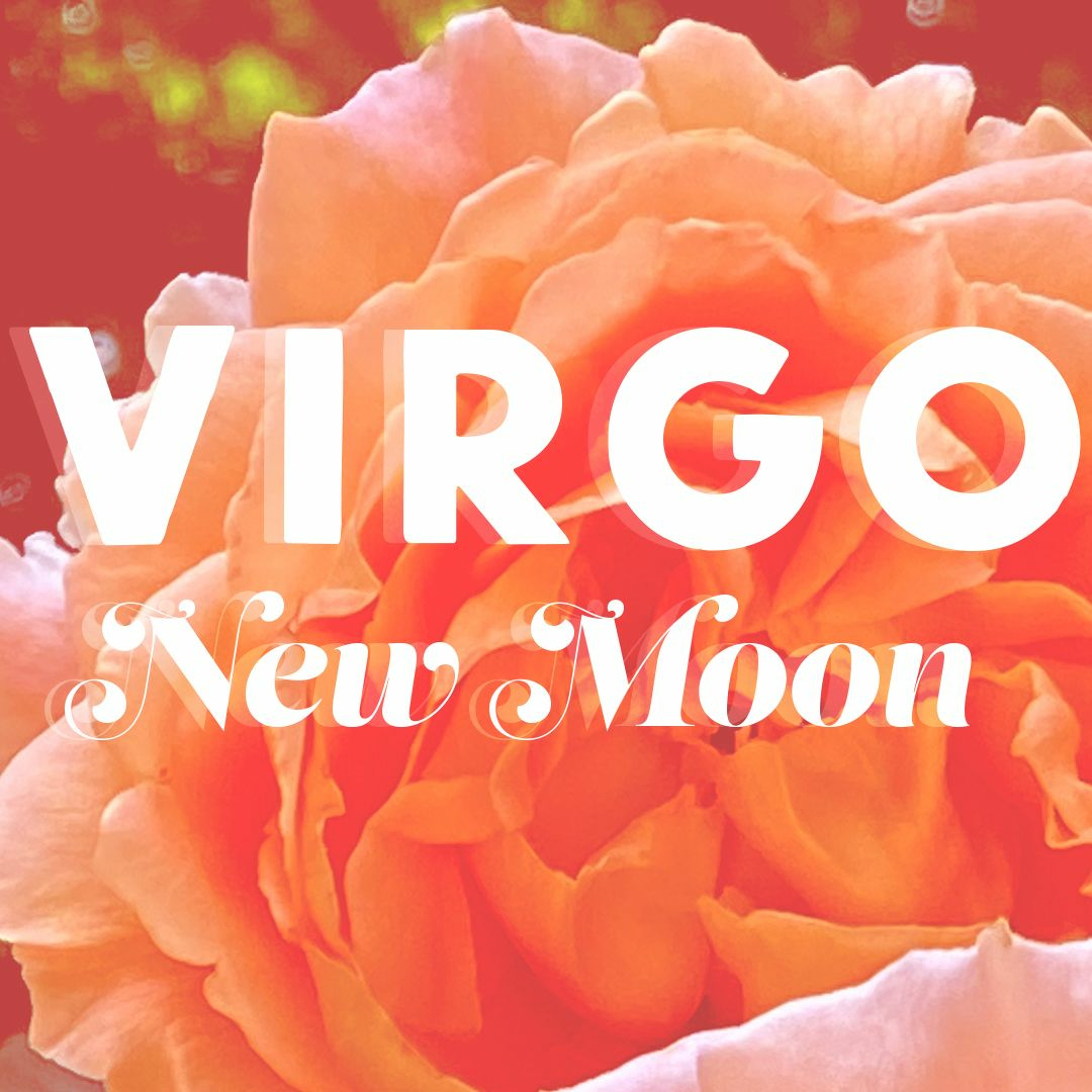 Blood Moon Milk Astrology Podcast