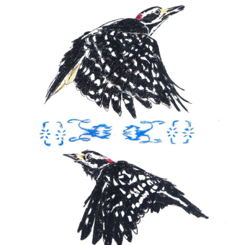 RDY (prod. midnightufo & 1rott)