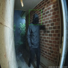 PACKAGE THEFT