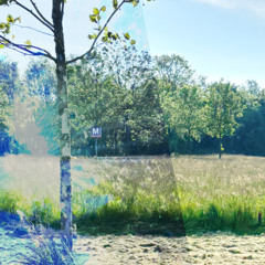 dtrh25 - unoffical preview