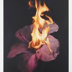 Y Do We Hurt ft. Adon