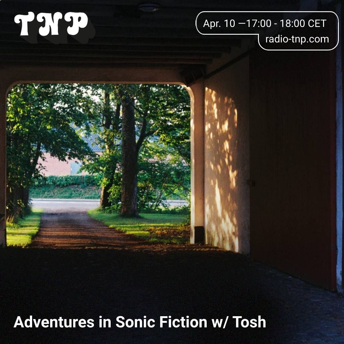 Adventures in Sonic Fiction w/ Tosh