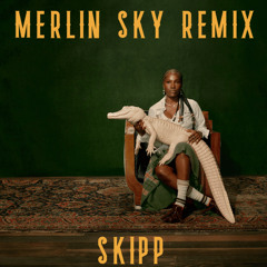 SKIPP doechii - lil flip