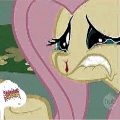 equestria is a bitch