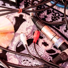 Electrocat - Peter Schmid - Blez 29.10.2025