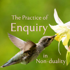Practice of Enquiry