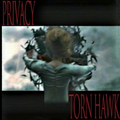 Privacy & Torn Hawk - "Under The Counter"