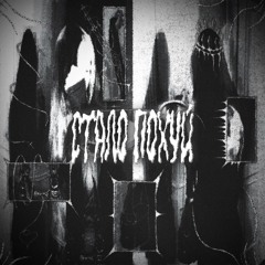 стало похуй