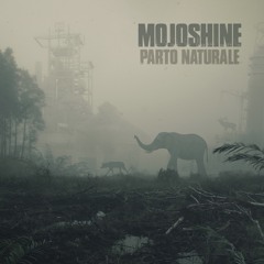 Mojoshine - Parto Naturale