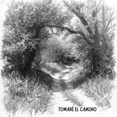 TOMARÉ EL CAMINO