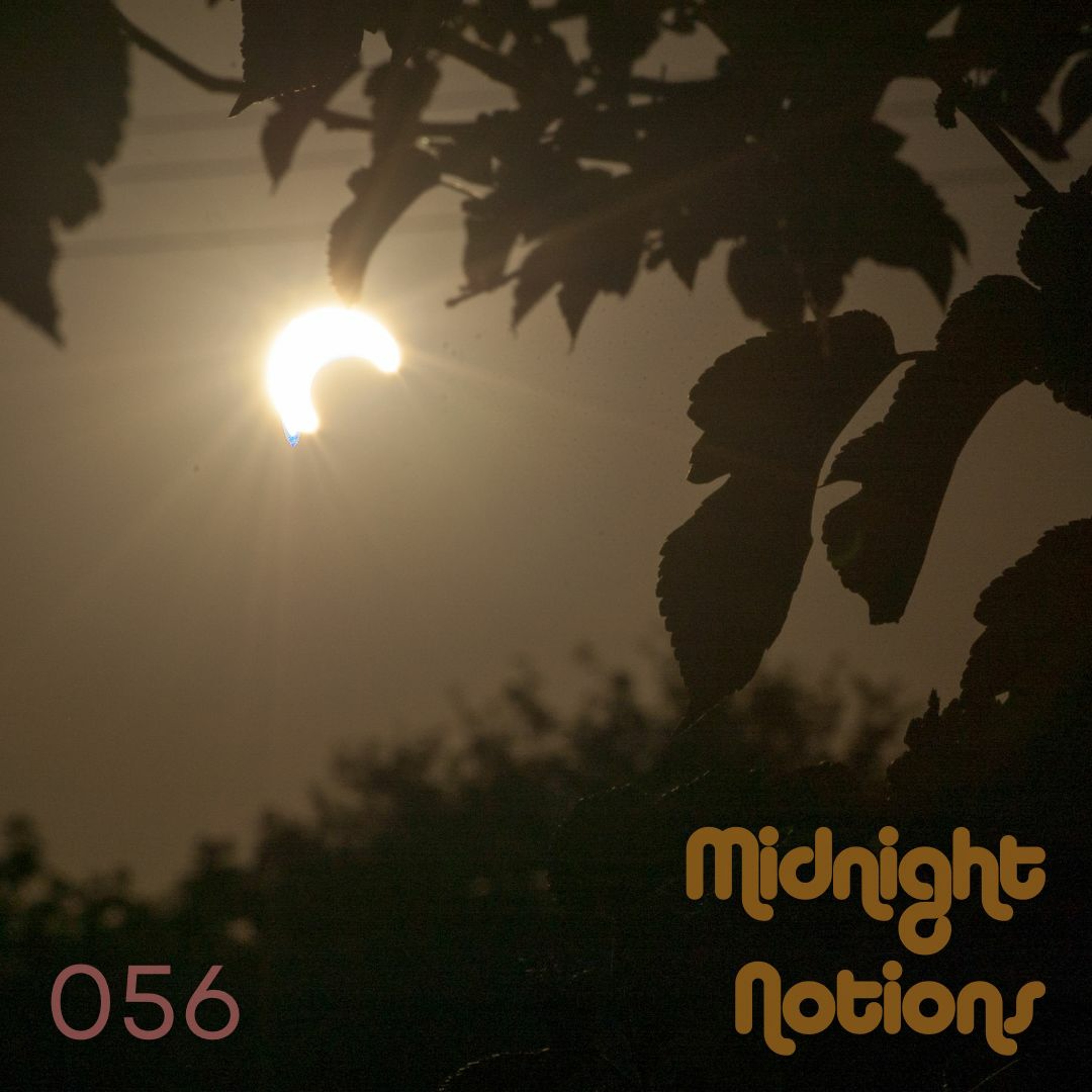 Midnight Notions