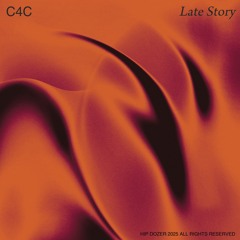C4C - Late Story