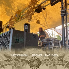 MettāKin @ Magikana Festival 2024 - Dragon Grove Stage - 21:07:24