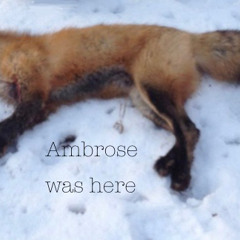 Foxhunting
