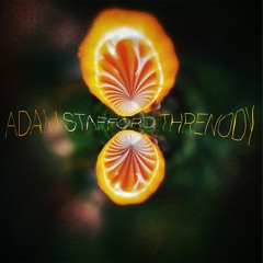 Adam Stafford - Threnody For February Swallows