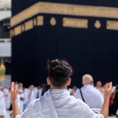 سورة يوسف كاملة ـ عمر ضياء الدين تلاوة بدون مؤثرات