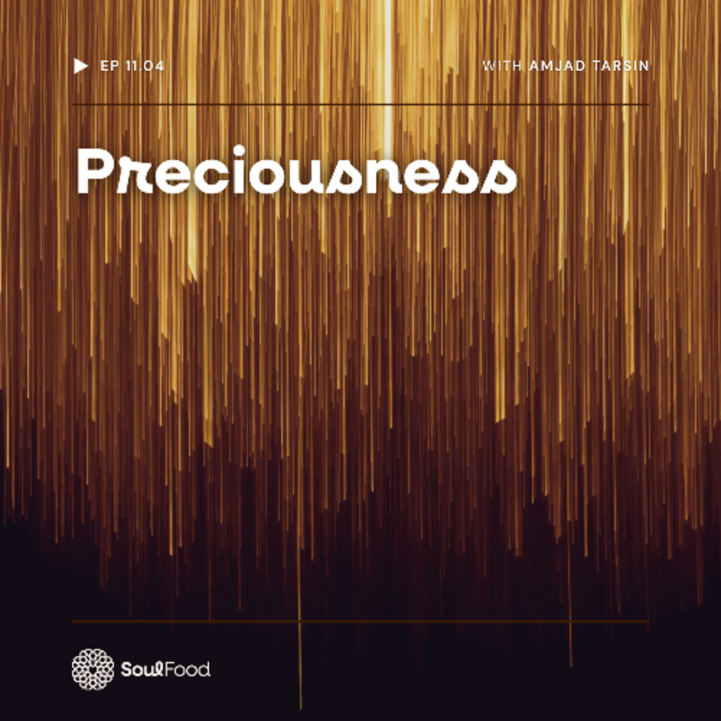 Episode 11.4 - Preciousness