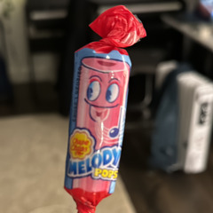 dub whistle
