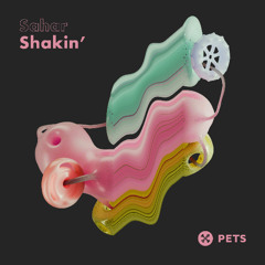 PREMIERE - Sahar - Shakin (Pets Recordings)