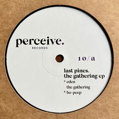 Last Pines - The Gathering EP (Perceive 10)