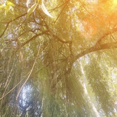 Capsule Sonore 03 : Pure Alchemy