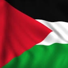 Dj Bitslap "Right Side Of History" free Palestine