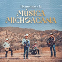 La Fiebre Michoacana