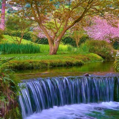 (Free Download)Shades & Shades - My Neighbours Garden (Original Mix)