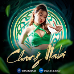 NOSTOP CHƯA HAY LẮM ĐÂU , CÒN NỮA ! - CHANG NABI