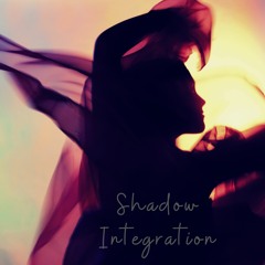 Shadow Integration