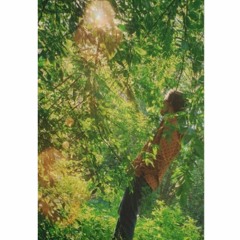 The Forest Elf's Lunch Trip