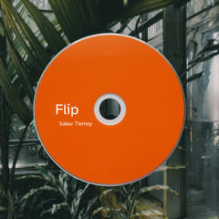 Flip