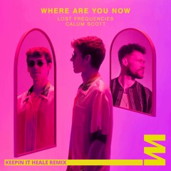 Lost Frequencies (ft. Calum Scott) - Where Are You Now (Keepin It Heale Remix)