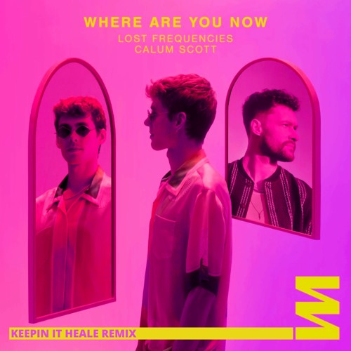 Lost Frequencies (ft. Calum Scott) - Where Are You Now (Keepin It Heale Remix)