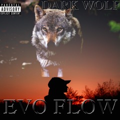 Dark Wolf PROD - NJH BEATS