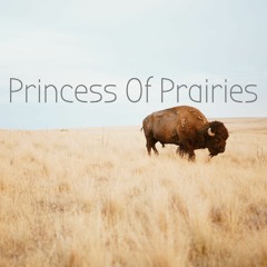 Princess Of Prairies