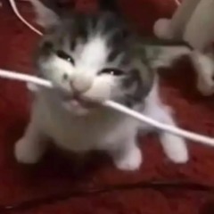 Why do I hate you so much (Prod. Me)