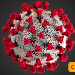 Coronacation