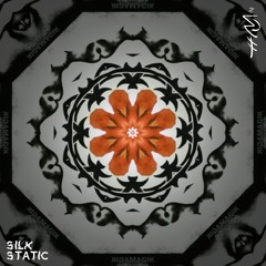 RHCP - Give It Away (Silk Static Remix)
