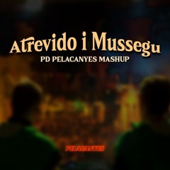 ANGELITO I MUSSEGU - PDPELACANYES INTRO MASHUP