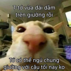 nhạc sến k dâm