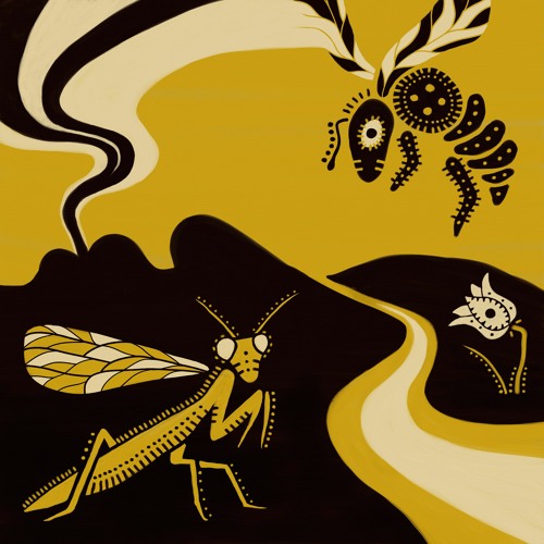 Coy Haste - Honeybee
