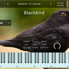 Ludwig van Blackbird