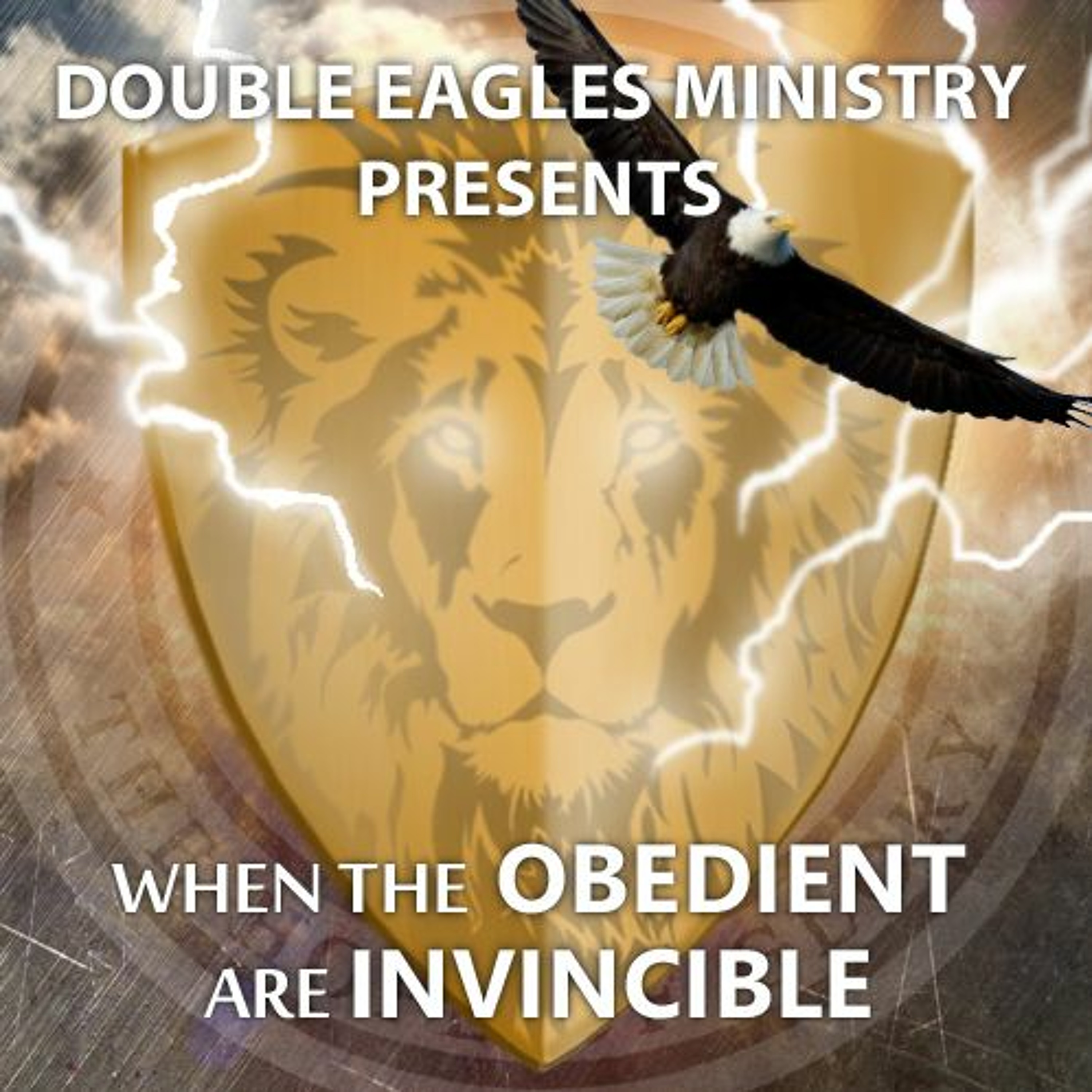 When the Obedient Are Invincible episode artwork