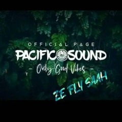 STIFLEUR REMIX X ZFLY REMIX X MODE BELLA BASS 2023 ( 4 macarena )°°°°