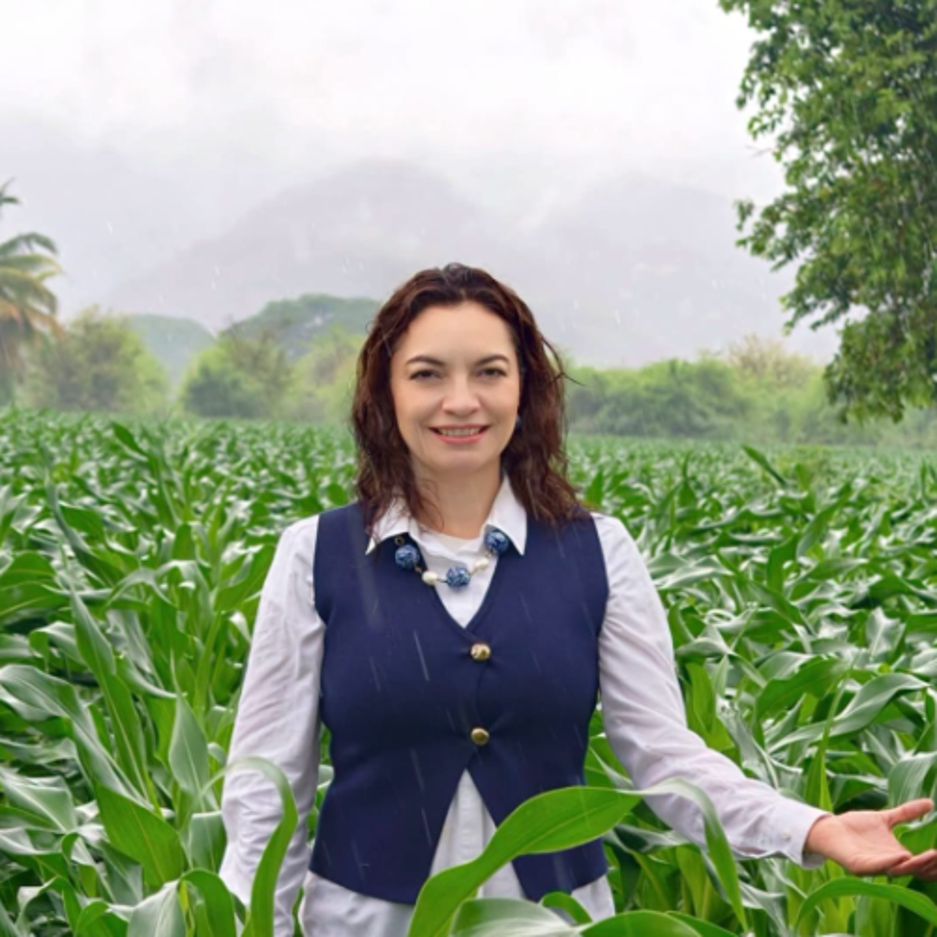 Hay un abandono de las necesidades de la población de Colima, revela la senadora Mely Romero episode artwork