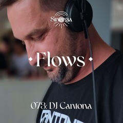 Flows 073: DJ Cantona