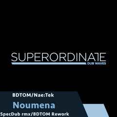 BD TOM/Nae:Tek - Noumena (BDTOM Rework) [Superordinate Dub Waves]